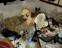 Size: 913x720 | Tagged: safe, derpibooru import, editor:notxweeb, applejack, earth pony, pony, bed, female, hat, hikikomori, irl, lying down, lying on bed, meme, messy, messy room, obtrusive watermark, on bed, photo, room, solo, watermark