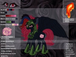 Size: 1024x765 | Tagged: safe, artist:maryhoovesfield, derpibooru import, oc, oc only, pegasus, pony, cyrillic, ear fluff, ears, eye, eyelashes, eyes, flower, helmet, hoof shoes, pegasus oc, peytral, reference sheet, rose, russian, solo, wings