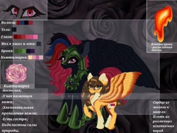 Size: 1024x765 | Tagged: safe, alternate version, artist:maryhoovesfield, derpibooru import, oc, oc only, pegasus, pony, cyrillic, duo, ear fluff, ear piercing, earring, ears, eye, eyelashes, eyes, flower, helmet, hoof shoes, jewelry, pegasus oc, peytral, piercing, raised hoof, raised leg, reference sheet, rose, russian, wings