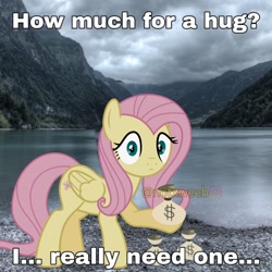 Size: 720x720 | Tagged: safe, artist:luckreza8, derpibooru import, edit, editor:notxweeb, fluttershy, pegasus, pony, bag, bags, bits, caption, image macro, meme, obtrusive watermark, photo, solo, text, watermark