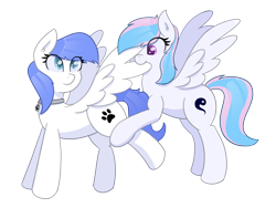 Size: 3200x2400 | Tagged: safe, artist:eyeburn, derpibooru import, oc, oc only, oc:snow pup, oc:starburn, pegasus, pony, collar, ear fluff, ears, female, grooming, lifted leg, looking back, mare, on hind legs, pet tag, preening, simple background, spread wings, standing, transparent background, wings