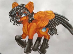 Size: 1024x753 | Tagged: safe, artist:maryhoovesfield, derpibooru import, oc, oc only, pegasus, pony, ear fluff, ears, eyelashes, fangs, hoof fluff, pegasus oc, socks (coat marking), solo, traditional art, two toned wings, wings