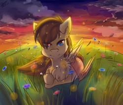 Size: 1580x1352 | Tagged: safe, artist:yuris, derpibooru import, oc, oc only, oc:sharpwing, pegasus, pony, blue eyes, brown mane, commission, field, flower, folded wings, frown, male, solo, telling lies, wind, wings, ych result