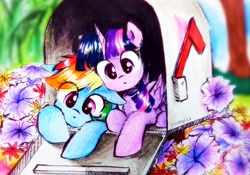 Size: 3344x2344 | Tagged: safe, artist:liaaqila, derpibooru import, rainbow dash, twilight sparkle, twilight sparkle (alicorn), alicorn, pegasus, pony, commission, cute, daaaaaaaaaaaw, dashabetes, duo, eye clipping through hair, female, flower, lesbian, liaaqila is trying to murder us, looking at you, mailbox, mare, micro, shipping, tiny, tiny ponies, traditional art, twiabetes, twidash