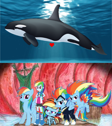 Size: 1920x2160 | Tagged: safe, derpibooru import, rainbow dash, zapp, orca, pegasus, pony, equestria girls, my little pony: pony life, endosoma, inside stomach, non-fatal vore, power ponies, preydash, rainbow power, stomach noise, vore