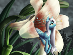 Size: 4000x3000 | Tagged: safe, artist:faline-art, derpibooru import, breezie, pony, featured image, flower, lily (flower), solo