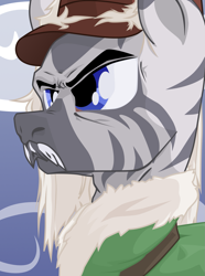 Size: 1281x1724 | Tagged: safe, artist:aaronmk, derpibooru import, zebra, equestria at war mod, clothes, coat, facial hair, hat, moustache, uniform