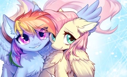 Size: 2048x1246 | Tagged: safe, artist:swaybat, derpibooru import, fluttershy, rainbow dash, pegasus, pony, abstract background, cheek fluff, chest fluff, cute, dashabetes, duo, duo female, ear fluff, ears, eye clipping through hair, featured image, female, fluffy, leg fluff, mare, shyabetes, smiling, wings