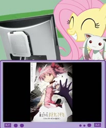 Size: 582x702 | Tagged: safe, derpibooru import, fluttershy, incubator (species), pegasus, pony, anime, computer, kyubey, madoka kaname, magical girl, meme, puella magi madoka magica, smiling, solo