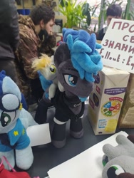 Size: 1620x2160 | Tagged: safe, derpibooru import, soarin', oc, oc:vibrant star, human, 2021, cyrillic, irl, irl human, newbronycon, photo, plushie, rubronycon, russian