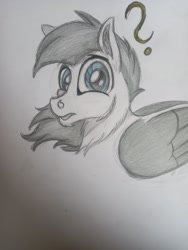 Size: 1536x2048 | Tagged: safe, artist:silbernepegasus, derpibooru import, oc, pegasus, pony, brony, bust, photo, portrait, traditional art