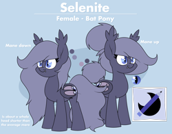 Size: 2716x2128 | Tagged: safe, artist:moonatik, derpibooru import, oc, oc only, oc:selenite, bat pony, pony, bat pony oc, clothes, cutie mark, fangs, hair bun, reference sheet, short, tail bun, text