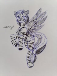 Size: 1200x1600 | Tagged: safe, artist:malarunych, derpibooru import, oc, oc only, zebra, solo, wings, zebra oc