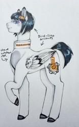 Size: 2354x3804 | Tagged: safe, artist:theartoffallensakura, derpibooru import, pegasus, pony, bruno buccellati, jojo's bizarre adventure, ponified, solo