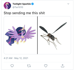 Size: 720x671 | Tagged: safe, derpibooru import, edit, screencap, princess twilight 2.0, twilight sparkle, twilight sparkle (alicorn), alicorn, insect, mosquito, pony, the last problem, fallout, meta, older, older twilight, twitter, vulgar