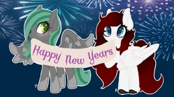 Size: 711x398 | Tagged: safe, artist:roeswolfcreations, derpibooru import, oc, oc only, pegasus, pony, banner, coat markings, fireworks, happy new year, holiday, pegasus oc, socks (coat marking), wings