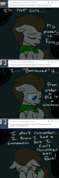 Size: 600x1804 | Tagged: safe, artist:toadstool-prancer, derpibooru import, doctor whooves, oc, oc:tantamount, earth pony, pony, ask, disguise, disguised changeling, solo, tantamount time turner, tumblr