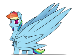 Size: 6300x4800 | Tagged: safe, artist:dacaoo, derpibooru import, rainbow dash, pegasus, pony, absurd resolution, female, impossibly large wings, large wings, mare, no pupils, simple background, solo, transparent background, wings