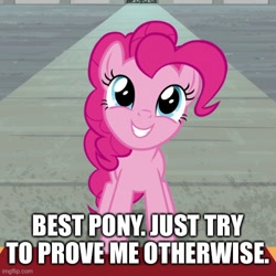 Size: 500x500 | Tagged: safe, derpibooru import, edit, edited screencap, screencap, pinkie pie, earth pony, pony, the last laugh, best pony, caption, cropped, cute, diapinkes, female, happy, image macro, imgflip, mare, smiling, solo, text