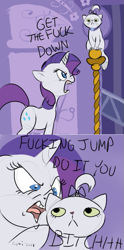 Size: 445x897 | Tagged: safe, artist:furseiseki, derpibooru import, opalescence, rarity, carousel boutique, out of character, rude, screaming, vulgar