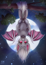 Size: 2508x3541 | Tagged: safe, artist:das_leben, oc, oc only, oc:shikaka, bat pony, pony, albino, bat pony oc, bow, braided tail, commission, hanging, hanging upside down, moon, solo, tail bow, tree branch, upside down, vampire bat pony