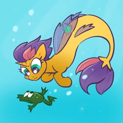 Size: 2048x2048 | Tagged: safe, artist:pfeffaroo, derpibooru import, oc, oc only, oc:kettle chip, frog, seapony (g4), bubble, fish tail, horn, seaponified, solo, species swap, swimming, tail, underwater, water