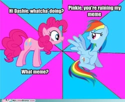 Size: 500x408 | Tagged: safe, derpibooru import, pinkie pie, rainbow dash, earth pony, pegasus, annoyed, caption, duo, female, image macro, looking at each other, mare, meme, text