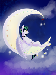 Size: 2864x3840 | Tagged: safe, artist:alrumoon.art, derpibooru import, oc, oc only, pegasus, pony, crescent moon, female, high res, mare, moon, night, pegasus oc, solo