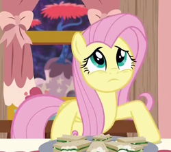 Size: 618x546 | Tagged: safe, derpibooru import, screencap, fluttershy, pegasus, pony, discordant harmony, season 7, cropped, cute, female, food, mare, sad, sandwich, shyabetes, solo