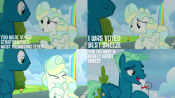 Size: 2000x1125 | Tagged: safe, derpibooru import, edit, edited screencap, editor:quoterific, screencap, sky stinger, vapor trail, pegasus, pony, top bolt, female, male, mare, sneezing, stallion