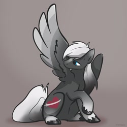 Size: 2048x2048 | Tagged: safe, artist:pfeffaroo, derpibooru import, oc, oc only, oc:sacred blade, pegasus, pony, grooming, preening, solo