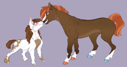 Size: 1280x683 | Tagged: safe, artist:glorymoon, derpibooru import, button mash, pipsqueak, earth pony, pony, :i, blaze (coat marking), blushing, boop, buttonsqueak, cheek fluff, chest fluff, coat markings, colored hooves, eye contact, eyebrows visible through hair, gay, grin, hoers, looking at each other, male, neck fluff, noseboop, older, purple background, shipping, simple background, size difference, smiling, socks (coat marking), stallion, unshorn fetlocks