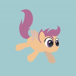 Size: 2550x2550 | Tagged: safe, artist:vxvcurie, derpibooru import, scootaloo, pegasus, pony, female, filly, simple background, solo