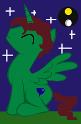 Size: 800x1229 | Tagged: safe, artist:kevan94, derpibooru import, oc, oc:kevan, alicorn, alicorn oc, brown mane, brown tail, horn, solo, stars, wings