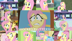 Size: 1280x721 | Tagged: safe, derpibooru import, edit, edited screencap, editor:quoterific, screencap, fluttershy, rainbow dash, bird, pegasus, pony, dragonshy, filli vanilli, flutter brutter, fluttershy leans in, games ponies play, green isn't your color, it ain't easy being breezies, just for sidekicks, magic duel, princess twilight sparkle (episode), season 1, season 2, season 3, season 4, season 6, season 7, stare master, the crystal empire, the return of harmony, :o, bag, diamond, duo, duo female, eyes closed, female, mare, open mouth, saddle bag, scared, shocked, shocked expression, train station, wide eyes