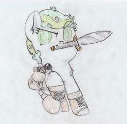 Size: 3999x3905 | Tagged: safe, artist:foxtrot3, derpibooru import, oc, oc:karakusa, earth pony, adventurer, bag, boots, female, filly, green eyes, green hair, saddle bag, shoes, smiling, smirk, sword, torch, weapon