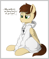 Size: 2553x3055 | Tagged: safe, artist:stardustspix, oc, oc only, oc:finicus, oc:second wind (eaw), changeling, pegasus, pony, equestria at war mod, clothes, cute, dialogue, hoodie, lidded eyes, open mouth, oversized clothes, simple background, sitting, solo, unamused