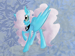 Size: 2592x1936 | Tagged: safe, artist:supah-panda, derpibooru import, oc, oc only, oc:snowshoe, pegasus, pony, abstract background, female, large wings, mare, peytral, solo, wings