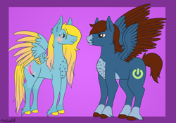 Size: 5310x3725 | Tagged: safe, artist:misskanabelle, derpibooru import, oc, oc only, pegasus, pony, abstract background, colored hooves, duo, female, hoof fluff, male, mare, pegasus oc, signature, stallion, two toned wings, wings
