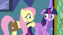 Size: 1920x1080 | Tagged: safe, derpibooru import, screencap, fluttershy, twilight sparkle, twilight sparkle (alicorn), alicorn, pegasus, pony, a health of information, season 7, duo, duo female, female, mare, out of context
