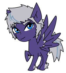 Size: 1359x1499 | Tagged: safe, artist:smilesupsidedown, derpibooru import, oc, oc only, pegasus, pony, feathered fetlocks, male, pegasus oc, raised hoof, raised leg, simple background, smiling, solo, stallion, transparent background, wings