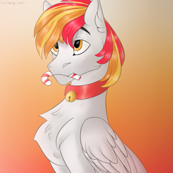 Size: 583x583 | Tagged: artist needed, safe, derpibooru import, oc, oc:shining sky, pegasus, pony