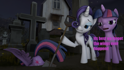 Size: 1920x1080 | Tagged: safe, derpibooru import, rarity, twilight sparkle, 3d, alicorn drama, burying, butt, drama, old drama, op is a cuck, op is trying to start shit, op is trying too hard, plot, shovel, source filmmaker, text