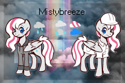 Size: 3000x2000 | Tagged: safe, artist:doukz, derpibooru import, oc, oc only, oc:misty breeze, pegasus, pony, clothes, female, high res, hoodie, mare, pegasus oc, reference sheet, solo, weather factory uniform