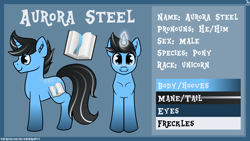 Size: 5760x3240 | Tagged: safe, artist:sevenserenity, derpibooru import, oc, oc only, oc:auora steel, pony, unicorn, absurd resolution, book, horn, male, reference sheet, solo, stallion, unicorn oc