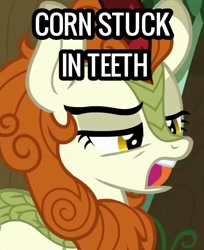 Size: 584x715 | Tagged: safe, derpibooru import, edit, edited screencap, screencap, autumn blaze, kirin, sounds of silence, solo