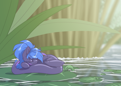 Size: 3507x2481 | Tagged: safe, artist:arctic-fox, derpibooru import, oc, oc:silva, alp-luachra, original species, lilypad, sleeping, solo, swamp