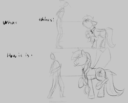 Size: 714x577 | Tagged: safe, artist:barhandar, oc, oc only, oc:windswept skies, human, pegasus, braid, collar, gray background, male, monochrome, raised hoof, raised leg, rough sketch, simple background, size chart, size comparison, sketch, stallion