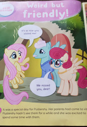 Size: 412x600 | Tagged: safe, derpibooru import, fluttershy, gentle breeze, posey shy, official comic