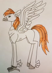 Size: 2616x3704 | Tagged: safe, artist:agdapl, derpibooru import, oc, oc only, classical hippogriff, hippogriff, signature, solo, traditional art